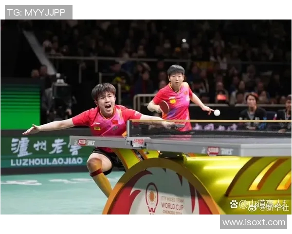 杭州乒乓球队挑战赛特别报道:从艰辛历程到辉煌突破的奋斗故事 杭州乒乓球队挑战赛特别报道:从艰辛历程到辉煌突破的奋斗故事