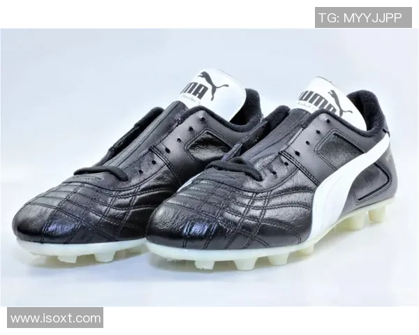 彪马足球明星阵容揭秘他们的成就与影响力分析