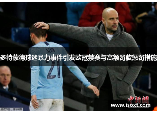 多特蒙德球迷暴力事件引发欧冠禁赛与高额罚款惩罚措施